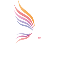 Salon Beauty Free